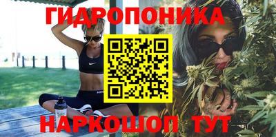 гашиш Сланцы
