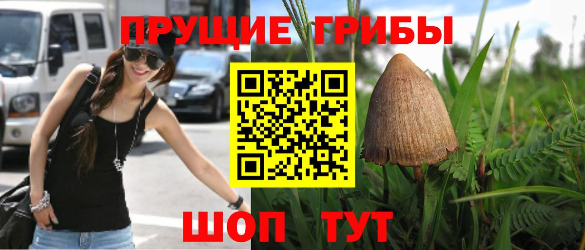 Шелехов  Галлюциногенные грибы ЛСД  Вход с VPN 